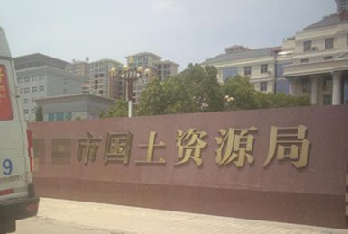 河南某国土资源局雷迪司40KVA工频UPS电源