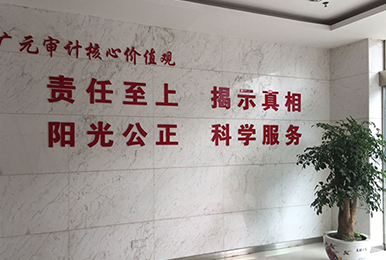 广元审计局雷迪司数据中心机房应用案例